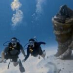 El CPTQ impulsa el turismo de buceo en Playa del Carmen para atraer más visitantes al Caribe Mexicano