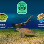 El Caribe Mexicano reafirma su liderazgo internacional con reconocimientos de Tripadvisor